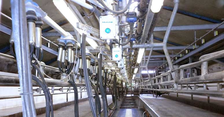 Milkline Доильный зал “Топ-Свинг”