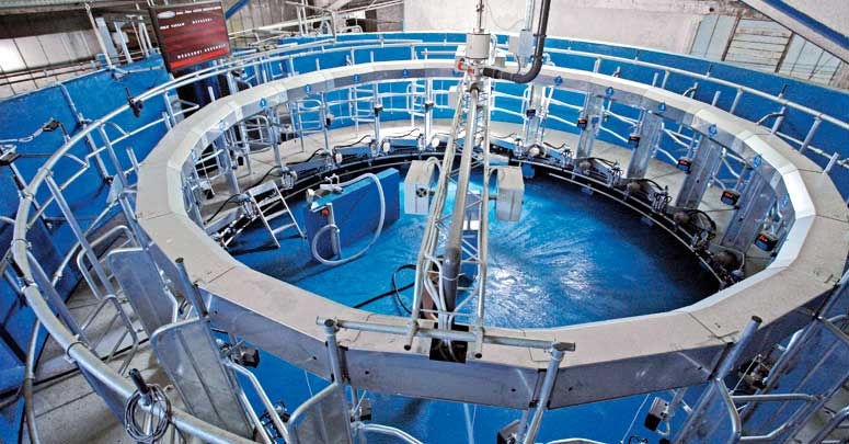 Milkline Доильный зал “Карусель”