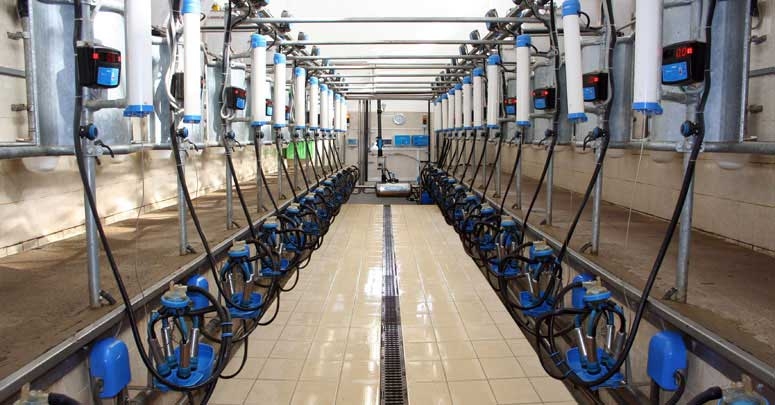 Milkline Доильный зал “Тандем”