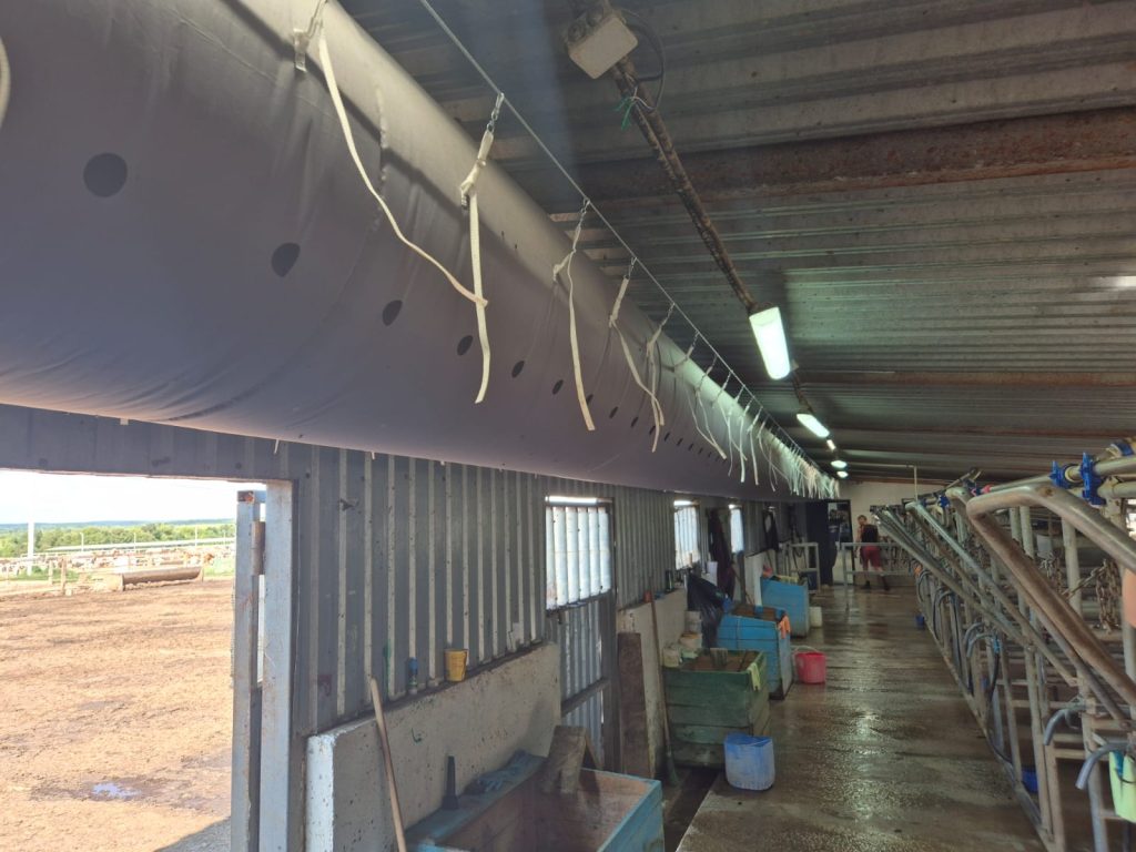 Как победить летний стресс у коров и поднять надои: технология рукавной вентиляции от ООО «АйсИт»