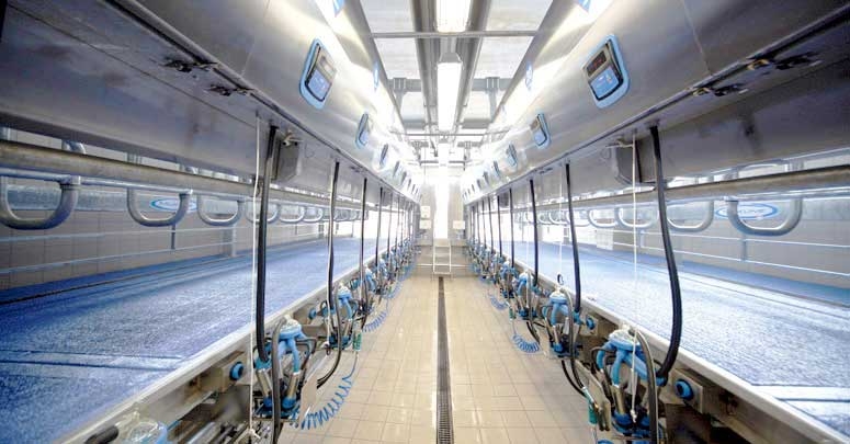 Milkline Доильный зал “Параллель”